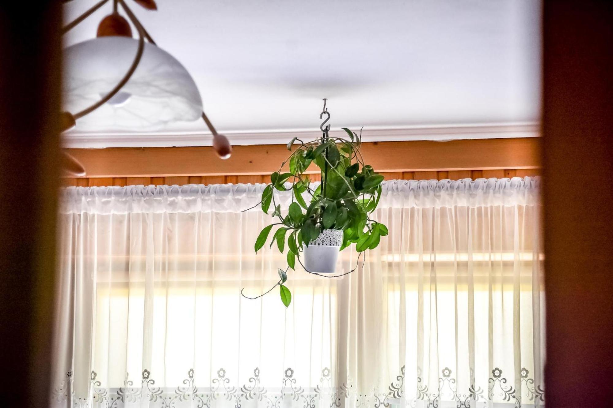 Rysiówka Apartamento Poronin Exterior foto